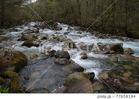 烏川の清い流れ 烏川の清い流れ 77658194