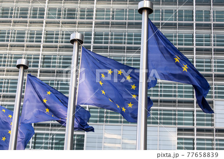 EU Flags near The European Parliament, Brussels, Belgium - 02 Mar 2011 EU Flags near The European Parliament, Brussels, Belgium - 02 Mar 2011 77658839