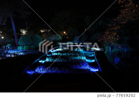 小田原城址公園 小田原城址公園 77659202