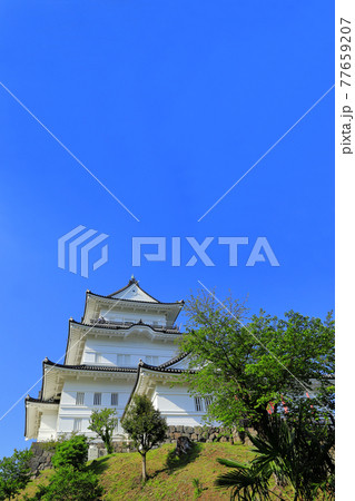 小田原城 小田原城 77659207