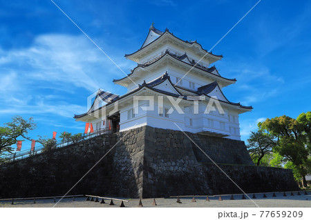 小田原城 小田原城 77659209