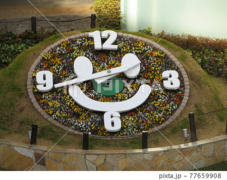 花時計 ららぽーと横浜 花時計 ららぽーと横浜 77659908