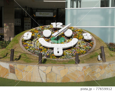 花時計 ららぽーと横浜 花時計 ららぽーと横浜 77659912