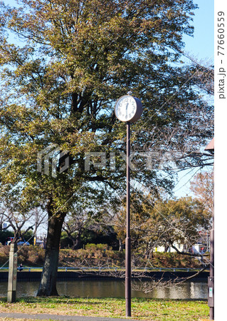 時計 公園 青空 森 グリーン さわやか 美しい 綺麗 落ち着いた 時間	 77660559