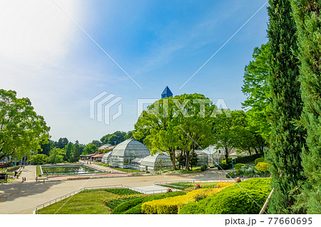 東山植物園にある日本最古の公共温室、温室前館〈愛知県名古屋市〉 77660695