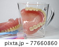 歯 77660860