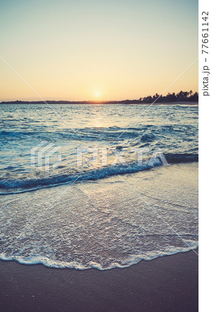 Color toned picture of a tropical beach at sunset. 77661142