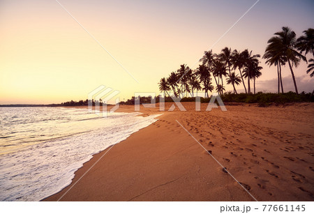 Tropical beach at with footprints in sand at sunset, color toning applied Tropical beach at with footprints in sand at sunset, color toning applied 77661145
