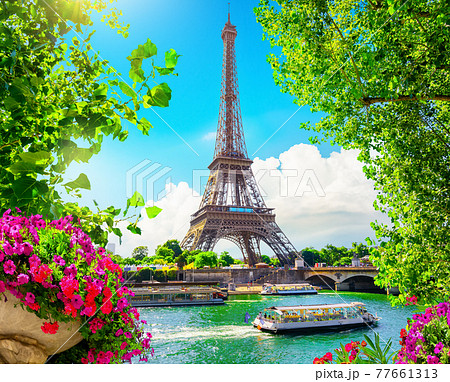 Blossom in Paris 77661313
