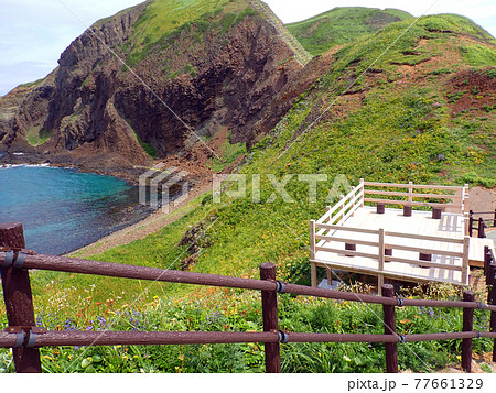 北海道 礼文島 4時間コース 岬コース 北海道 礼文島 4時間コース 岬コース 77661329