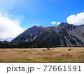 Kea Point Track 77661591