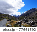 Kea Point Track 77661592