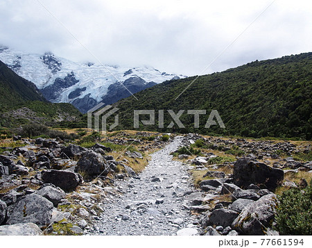 Kea Point Track Kea Point Track 77661594