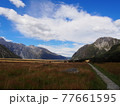 Kea Point Track 77661595