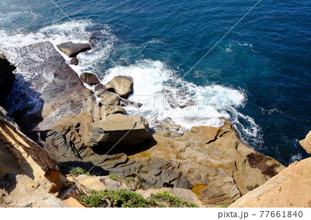 シドニーで最も美しい海岸線 Bondi to Coogee Coastal Walk タスマン海 シドニーで最も美しい海岸線 Bondi to Coogee Coastal Walk タスマン海 77661840