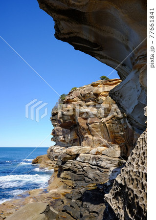 シドニーで最も美しい海岸線 Bondi to Coogee Coastal Walk タスマン海 シドニーで最も美しい海岸線 Bondi to Coogee Coastal Walk タスマン海 77661841