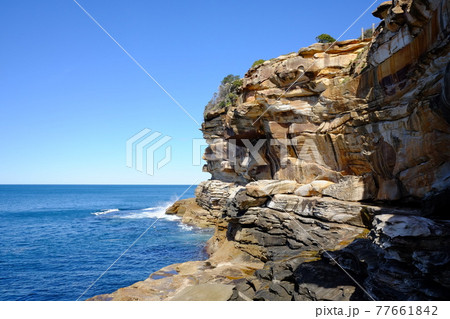 シドニーで最も美しい海岸線　Bondi to Coogee Coastal Walk　タスマン海 77661842