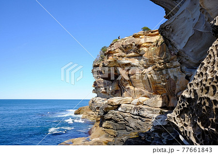 シドニーで最も美しい海岸線 Bondi to Coogee Coastal Walk タスマン海 シドニーで最も美しい海岸線 Bondi to Coogee Coastal Walk タスマン海 77661843