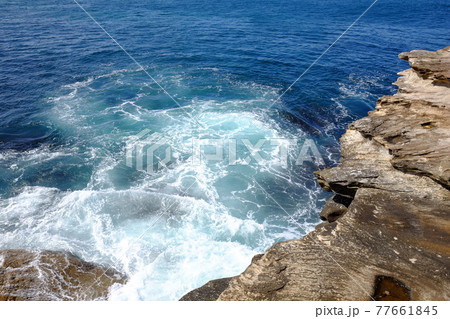 シドニーで最も美しい海岸線　Bondi to Coogee Coastal Walk　タスマン海 77661845