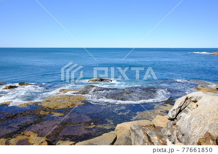 シドニーで最も美しい海岸線 Bondi to Coogee Coastal Walk タスマン海 シドニーで最も美しい海岸線 Bondi to Coogee Coastal Walk タスマン海 77661850