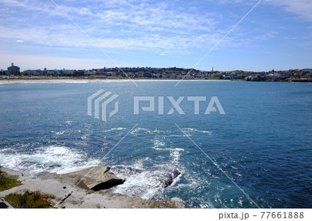 シドニーで最も美しい海岸線　Bondi to Coogee Coastal Walk ボンダイビーチ 77661888