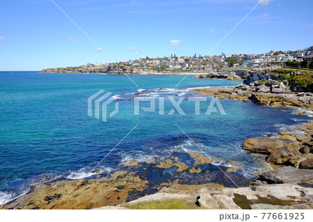 シドニーで最も美しい海岸線の散歩道 Bondi to Coogee Coastal Walk シドニーで最も美しい海岸線の散歩道 Bondi to Coogee Coastal Walk 77661925