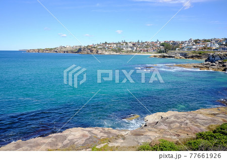 シドニーで最も美しい海岸線の散歩道 Bondi to Coogee Coastal Walk シドニーで最も美しい海岸線の散歩道 Bondi to Coogee Coastal Walk 77661926