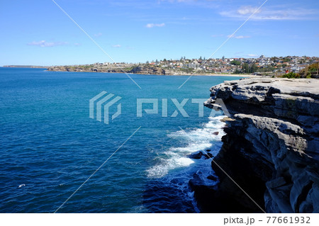 シドニーで最も美しい海岸線の散歩道　Bondi to Coogee Coastal Walk 77661932