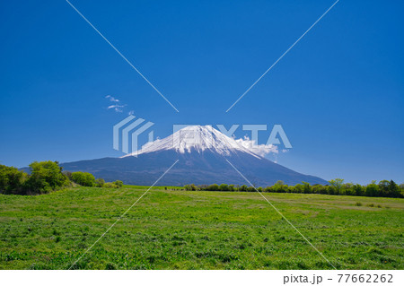 【静岡県】5月・大草原の富士山と青空 77662262