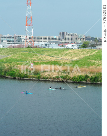 東京板橋・荒川中流域の風景 東京板橋・荒川中流域の風景 77662981