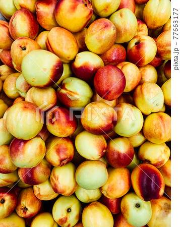 lots of sweet ripe peaches to eat as a background lots of sweet ripe peaches to eat as a background 77663177