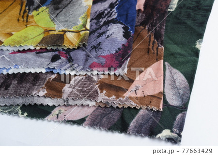 Floral motif with vines and leaves Floral motif with vines and leaves 77663429