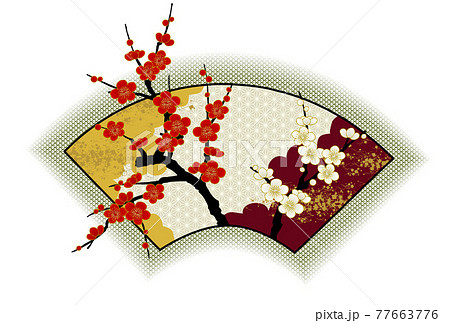 扇面　梅　紅梅　白梅 77663776