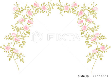 ピンクの薔薇のアーチのイラスト素材