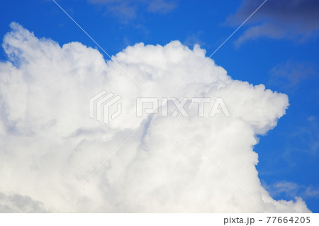 真っ青な空と入道雲 真っ青な空と入道雲 77664205