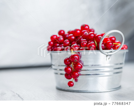 A metal basin filled with red currants A metal basin filled with red currants 77668347