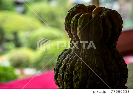 安楽寺、安楽寺かぼちゃのある夏の窓辺 安楽寺、安楽寺かぼちゃのある夏の窓辺 77669553