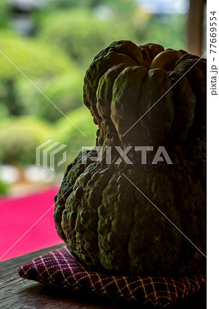 安楽寺、安楽寺かぼちゃのある夏の窓辺 77669554
