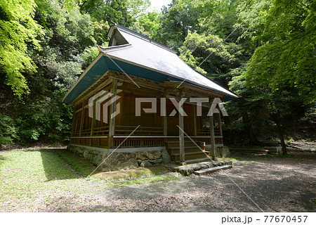 新緑の鶏足寺　本堂　滋賀県長浜市 77670457