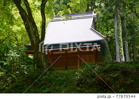 新緑の鶏足寺　護摩堂　滋賀県長浜市 77670544