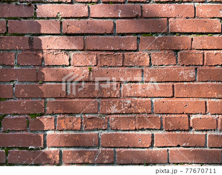Old red brick wall, green moss between the bricks. Masonry Old red brick wall, green moss between the bricks. Masonry 77670711