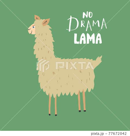 Cute Lama With Lettering No Drama Lama Cartoon のイラスト素材