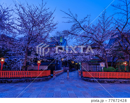 京都・夜明けの祇園白川 77672428