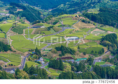 （静岡県）粟ヶ岳山頂から見下ろす、牧之原の茶畑 77672456