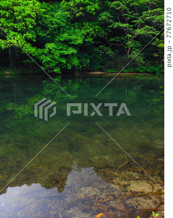 新緑の曲淵城跡 77672710