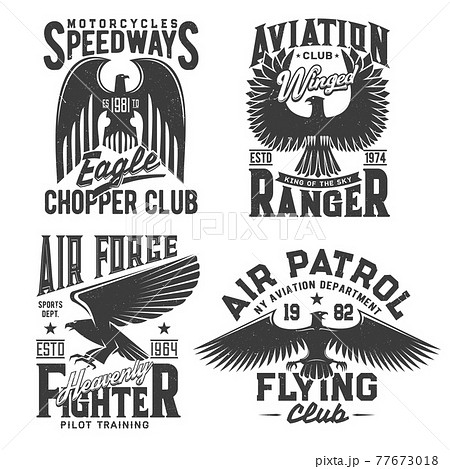Eagle t-shirt print, aviation, races, fight club Eagle t-shirt print, aviation, races, fight club 77673018