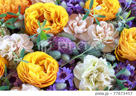 ラナンキュラス、カーネーション、トリフォリウムのフラワーアレンジメント。黄色、白、紫の花。 77673457