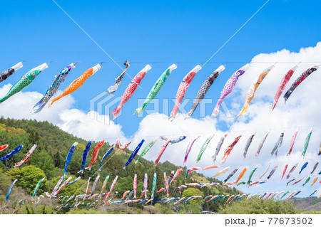 大空を泳ぐ鯉のぼり 77673502