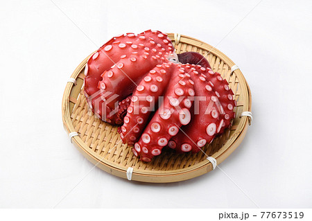 タコ　籠 77673519