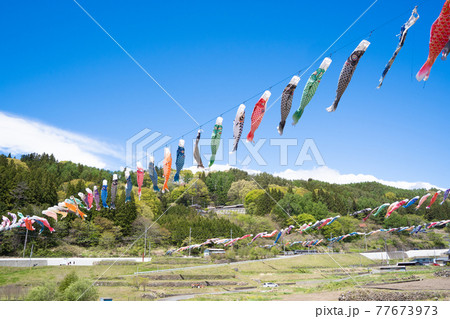 道の駅南きよさとの大空を泳ぐ鯉のぼり 77673973